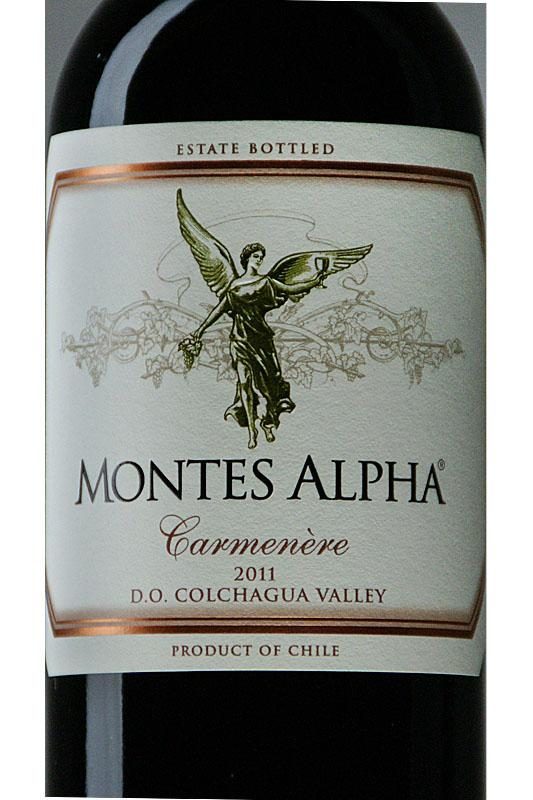 Գինու շշերի պիտակավորման մեքենա Երկկողմանի Չիլիի Սանտա Մարիա էլեկտրական վարորդ