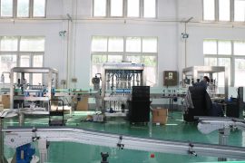 Գործարանի տեսք