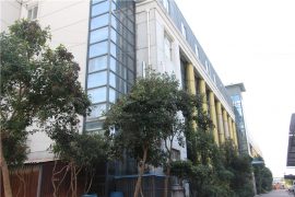 գործարանային շոու